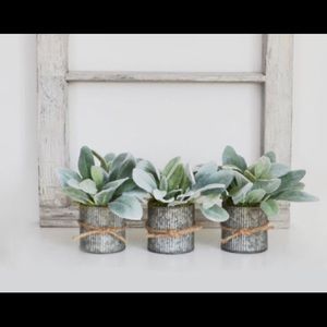 Meet your Posher, Candice